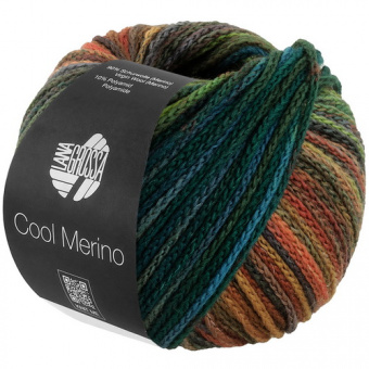 Lana Grossa Cool Merino Color (312) 90% меринос, 10% па 50г/150м