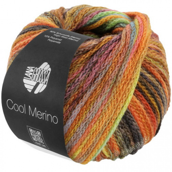 Lana Grossa Cool Merino Color (313) 90% меринос, 10% па 50г/150м